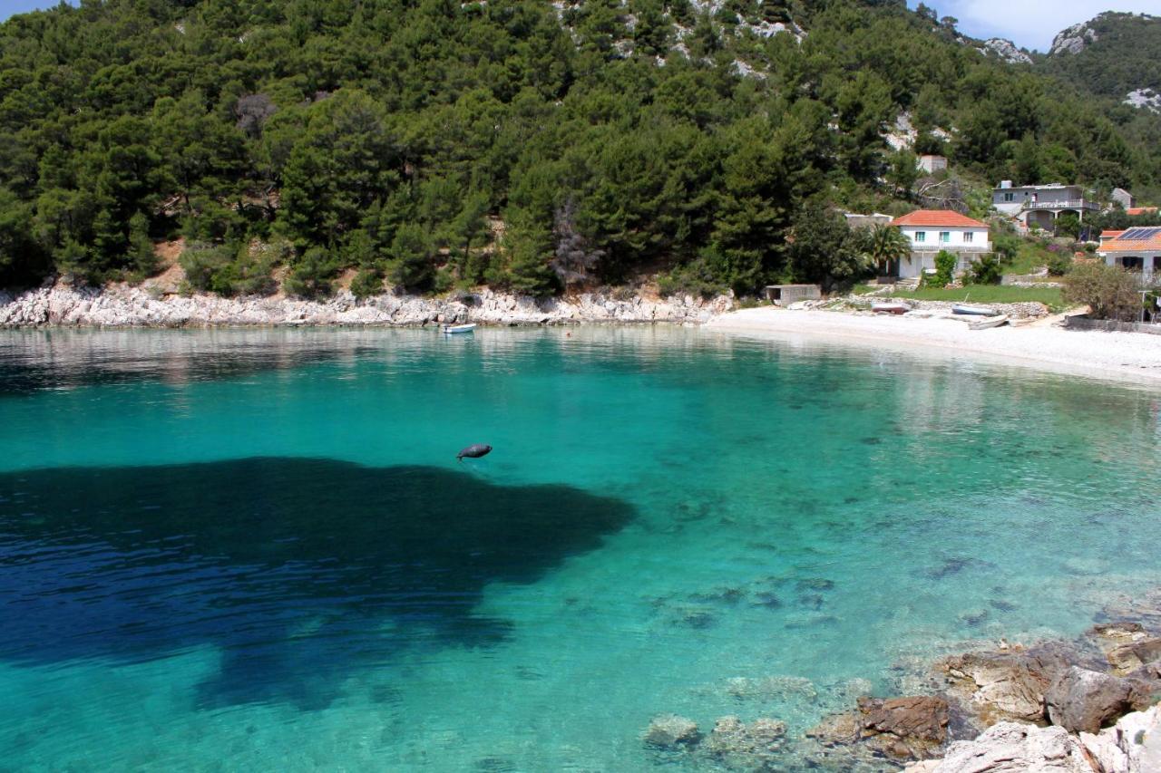 Holiday home Secluded Fisherman's Cove Skozanje, Hvar - 19749 Gdinj